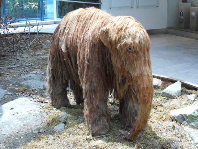  zvtit